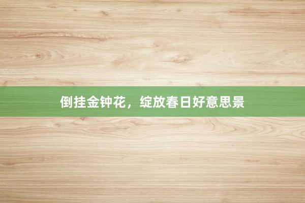 倒挂金钟花，绽放春日好意思景