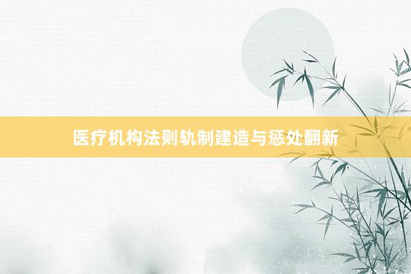 医疗机构法则轨制建造与惩处翻新